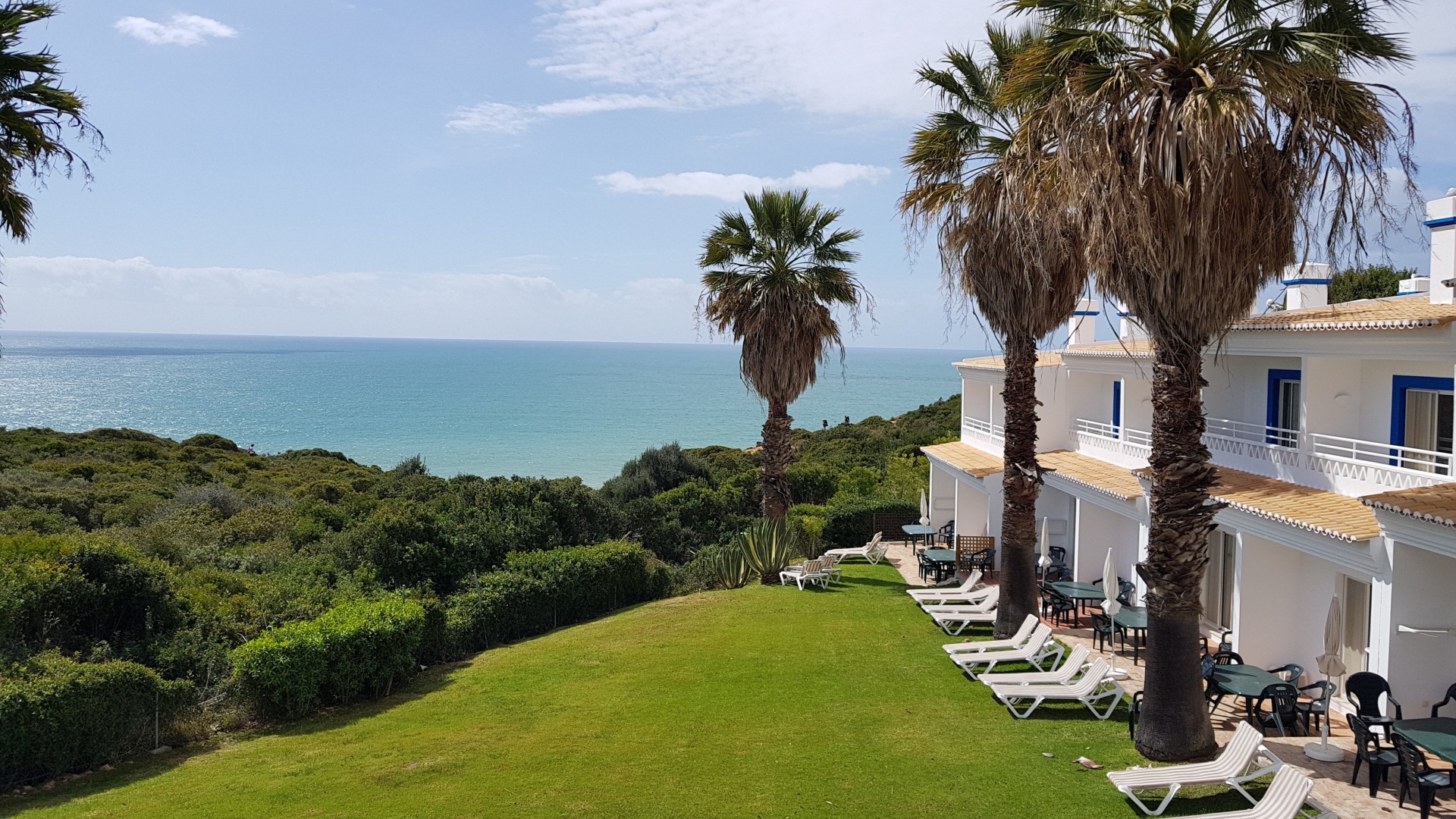 Photo - Pestana Palm Gardens