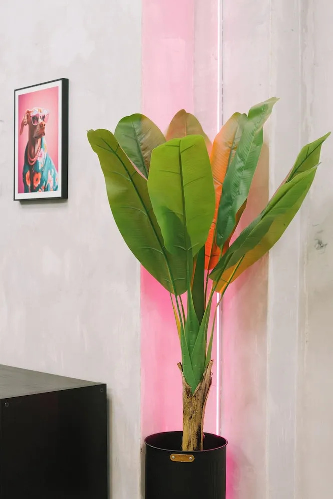 Photo - U-nit Hostel Central Park