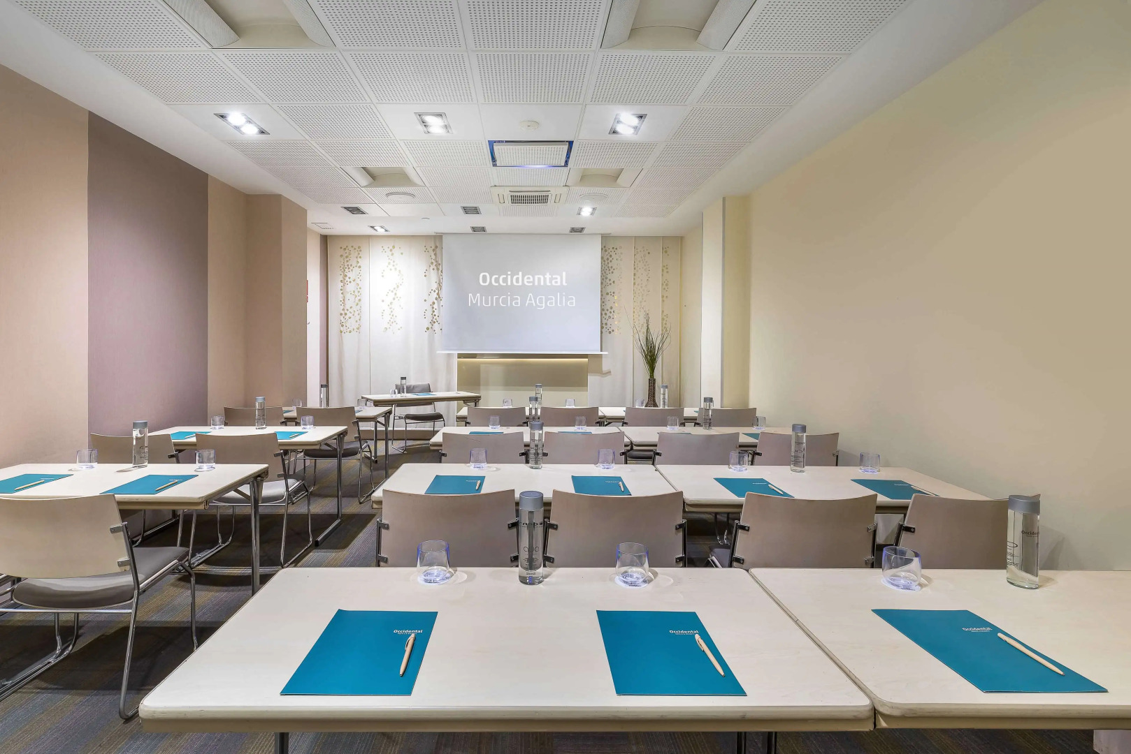 Photo - Occidental Murcia Agalia