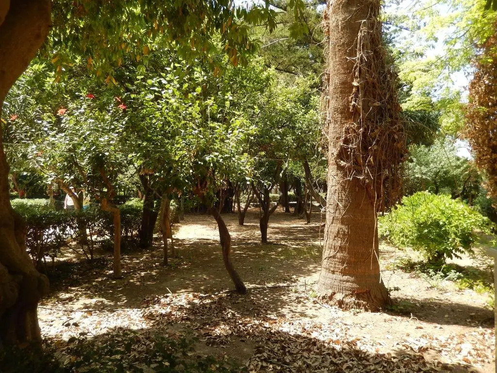 Photo - Aloe Apartments