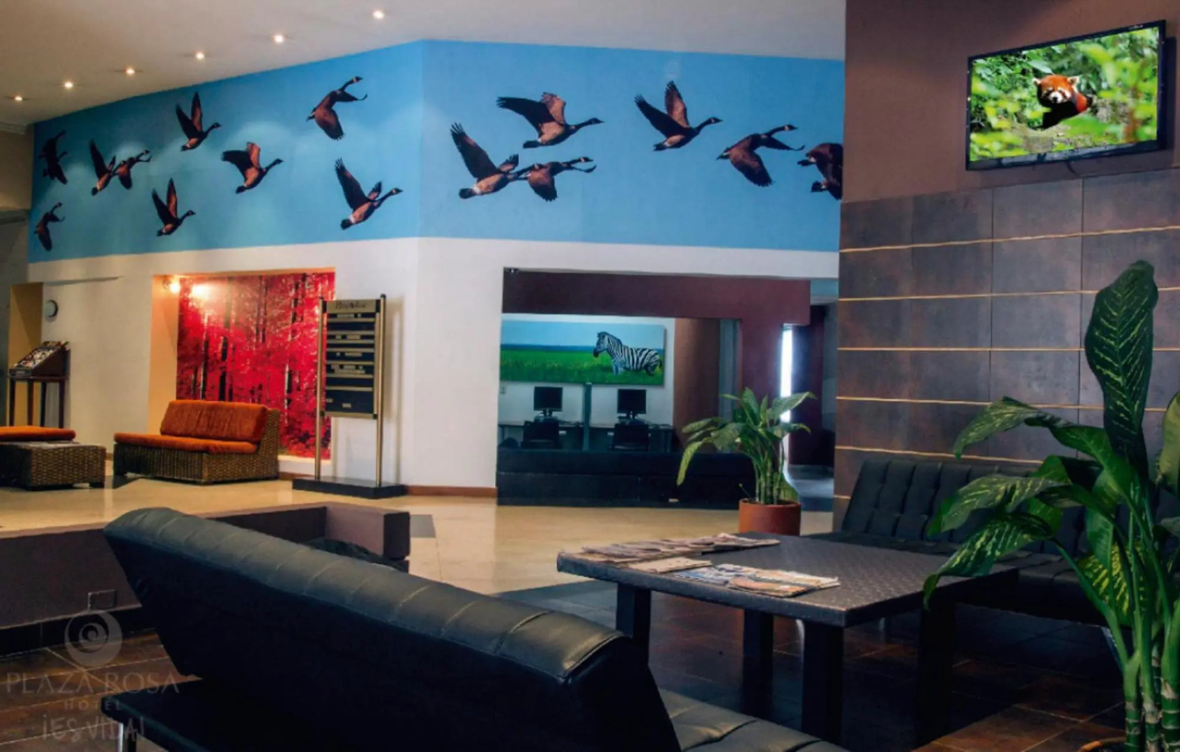 Foto - Socialtel Medellin