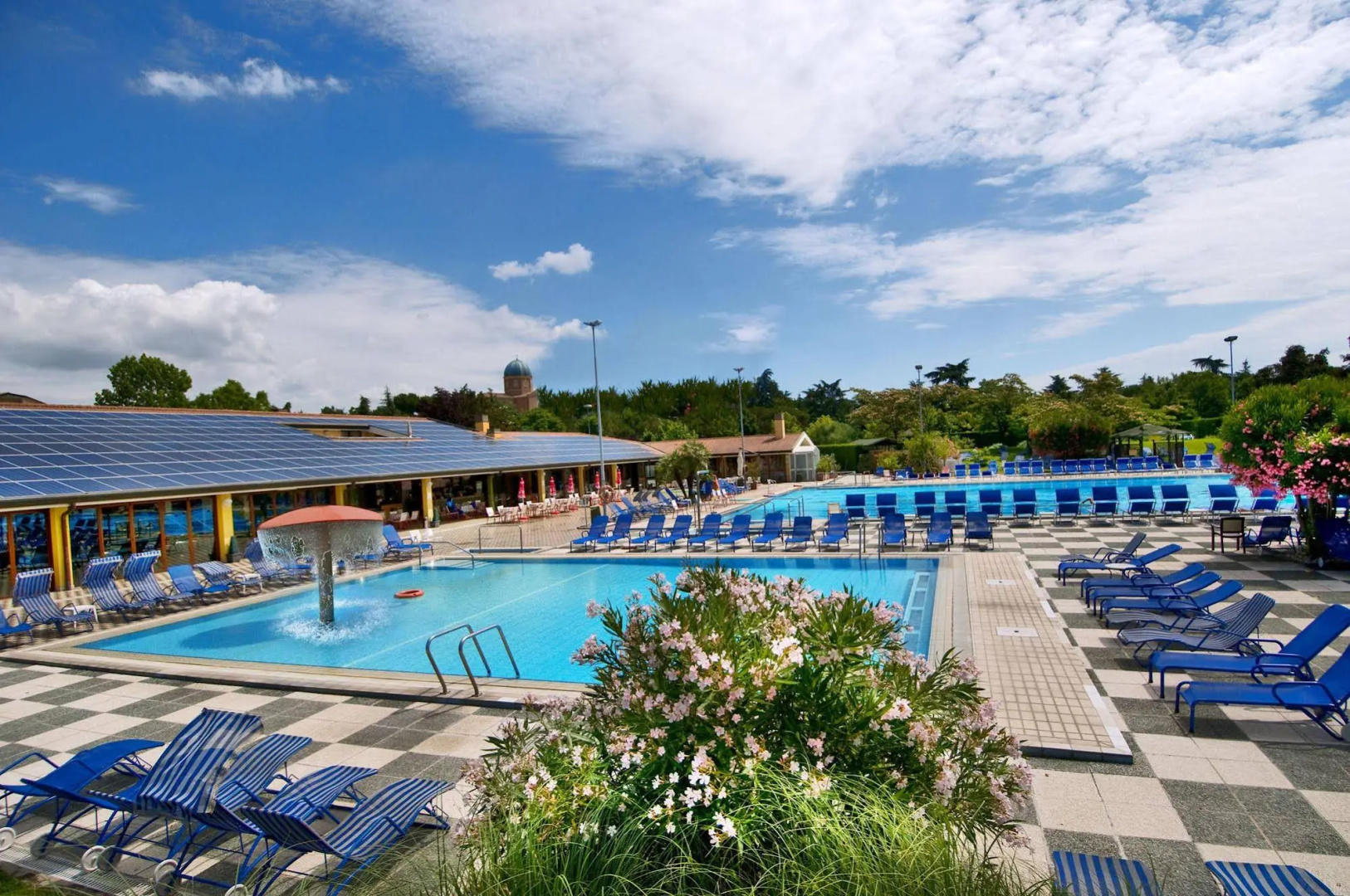 Foto - Hotel Petrarca Terme