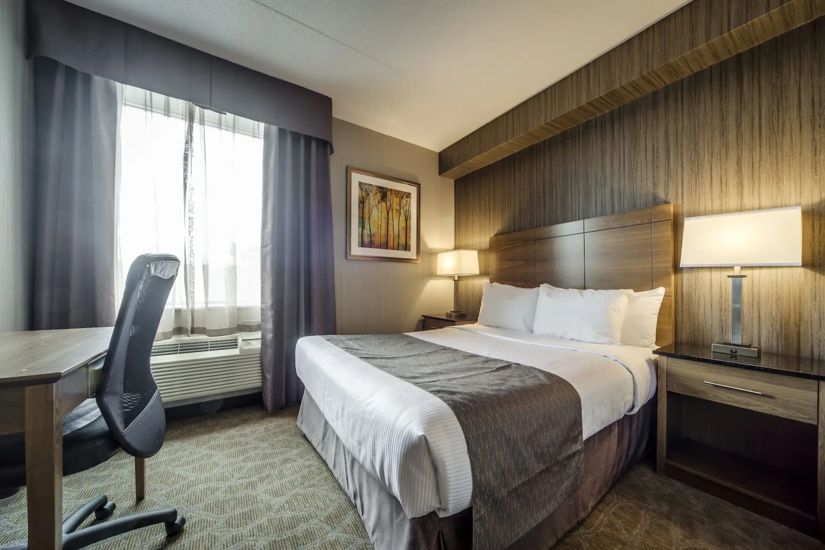 Foto - Monte Carlo Inn Airport Suites
