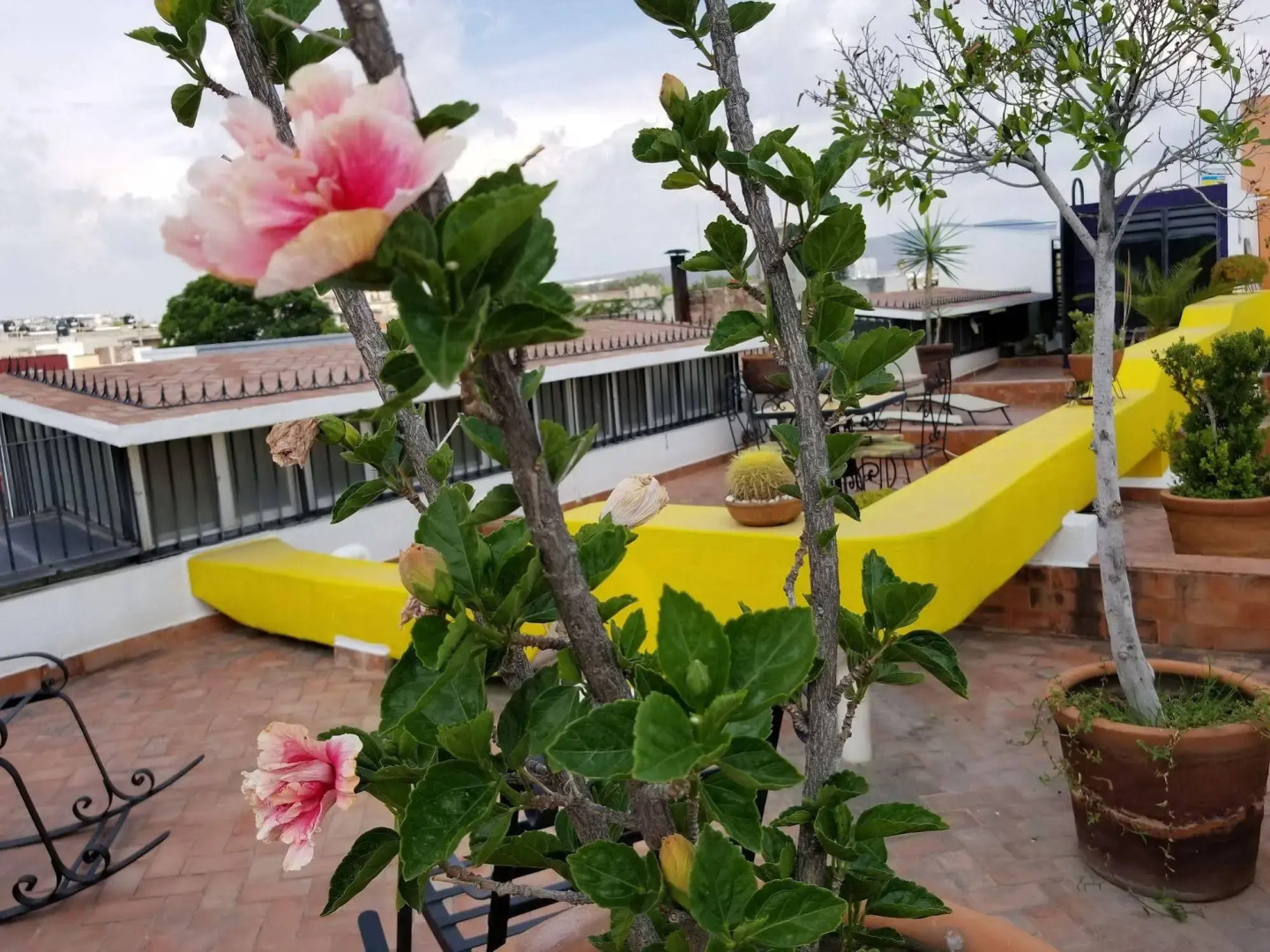 Foto - Hotel Suites Sofia