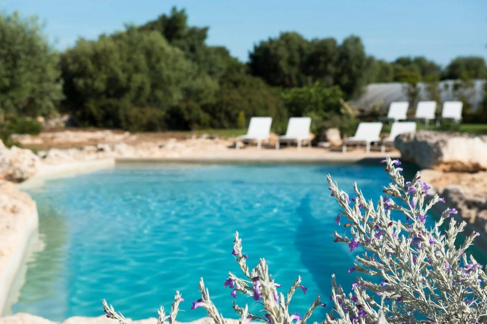 Foto - Masseria San Francesco