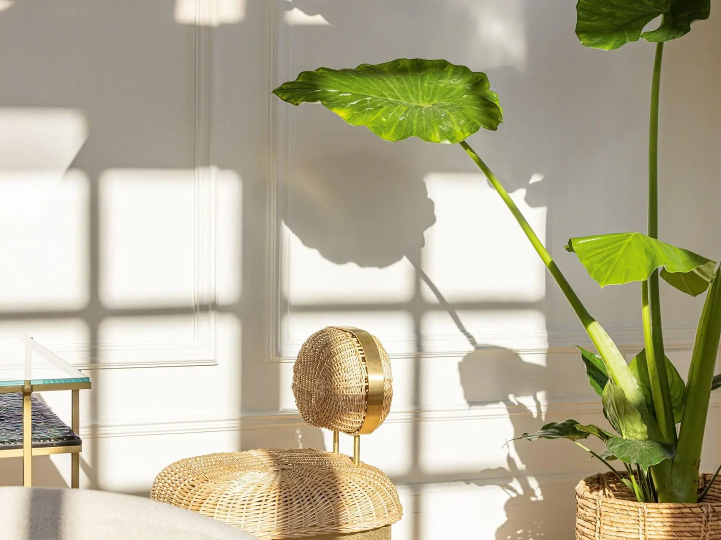 Foto - The Dolli at Acropolis, A Hotel to Live