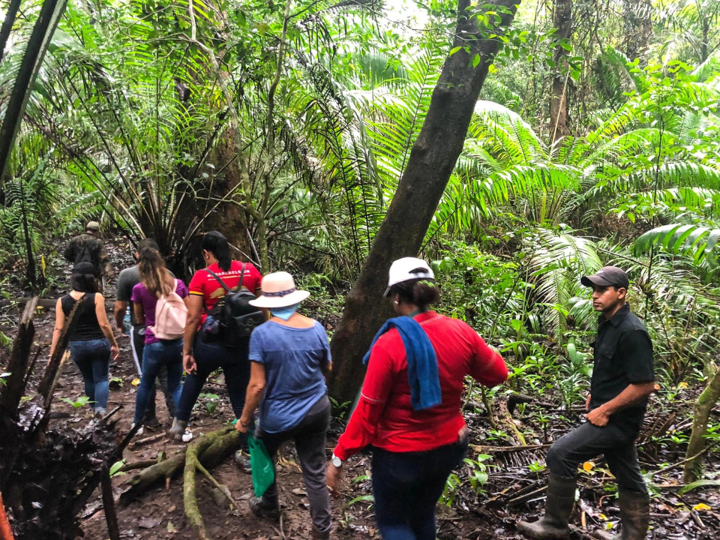 Foto - Summit Rainforest Golf Resort & All Inclusive