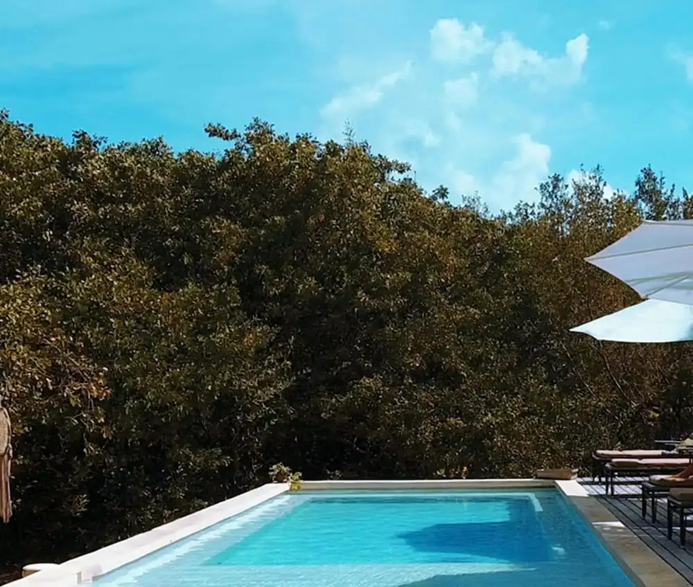 Foto - Vida Silvestre Tulum
