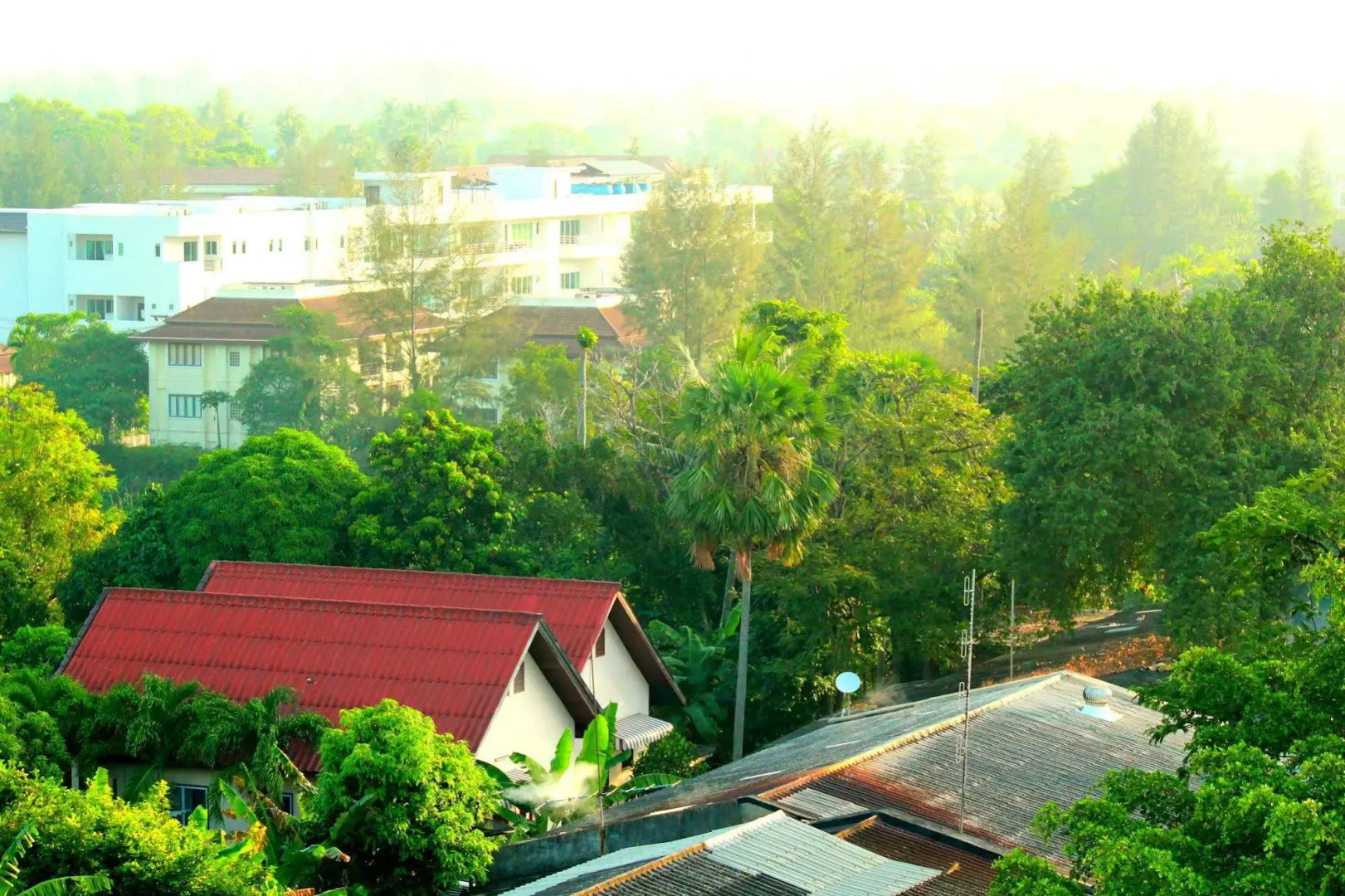 Foto - AM Surin Place