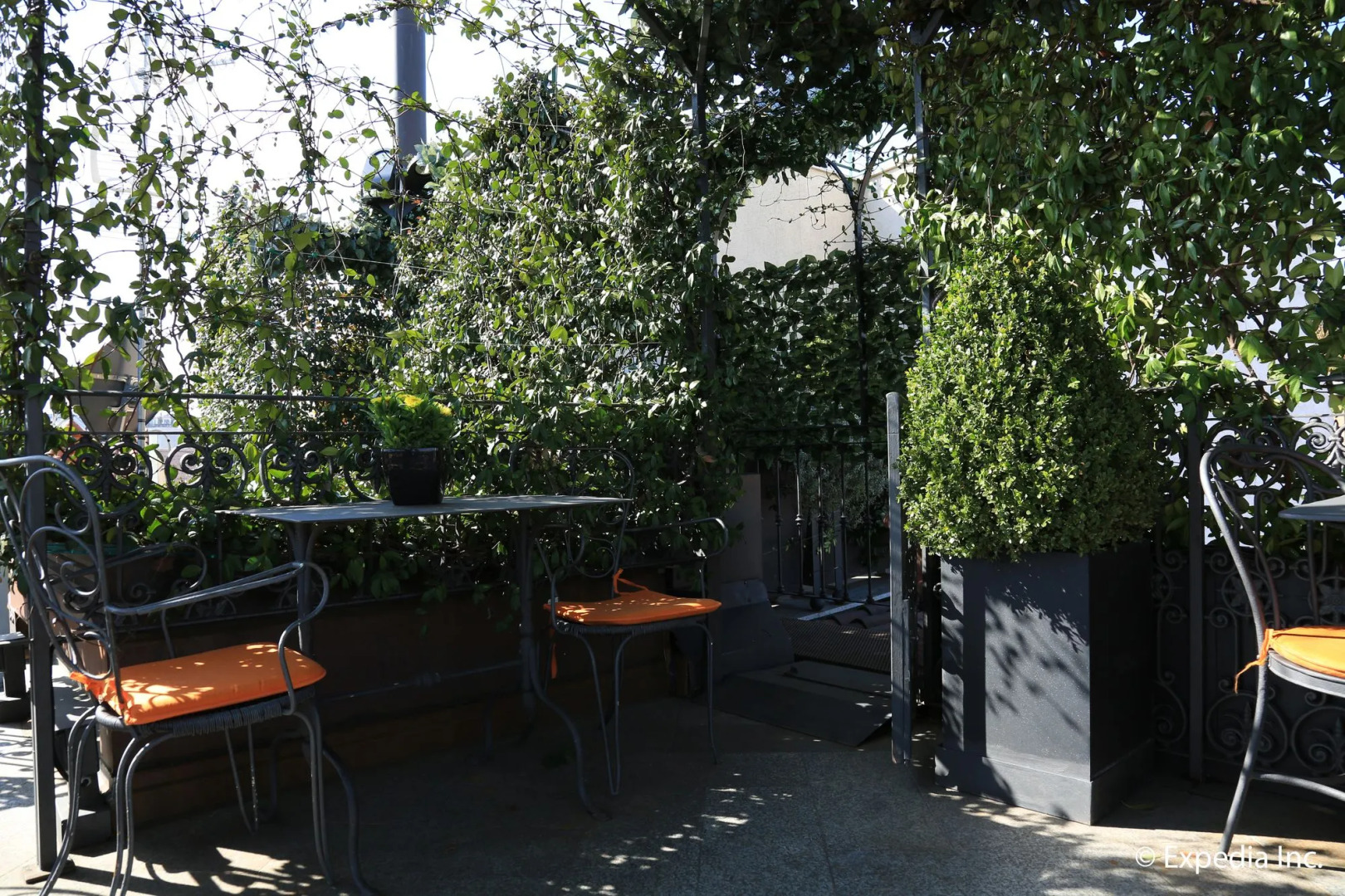 Photo - Hotel Santa Marta Suites