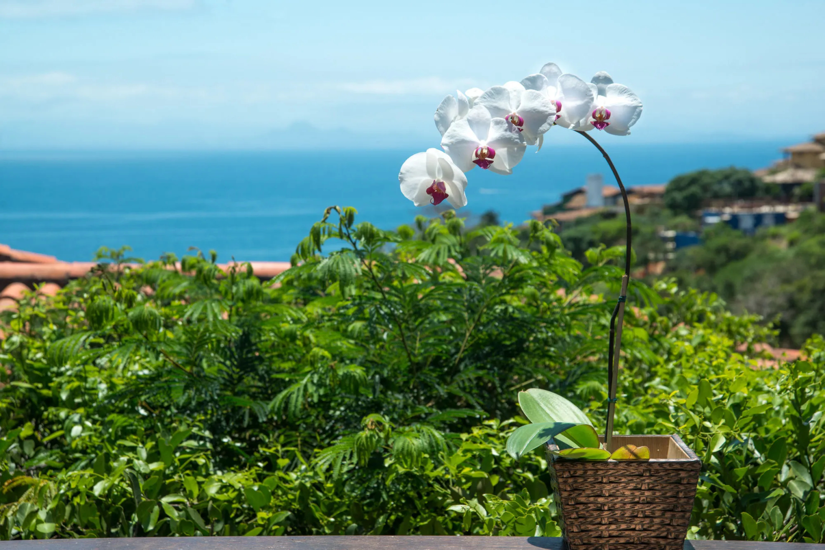 Photo - La Pedrera Small Hotel & Spa