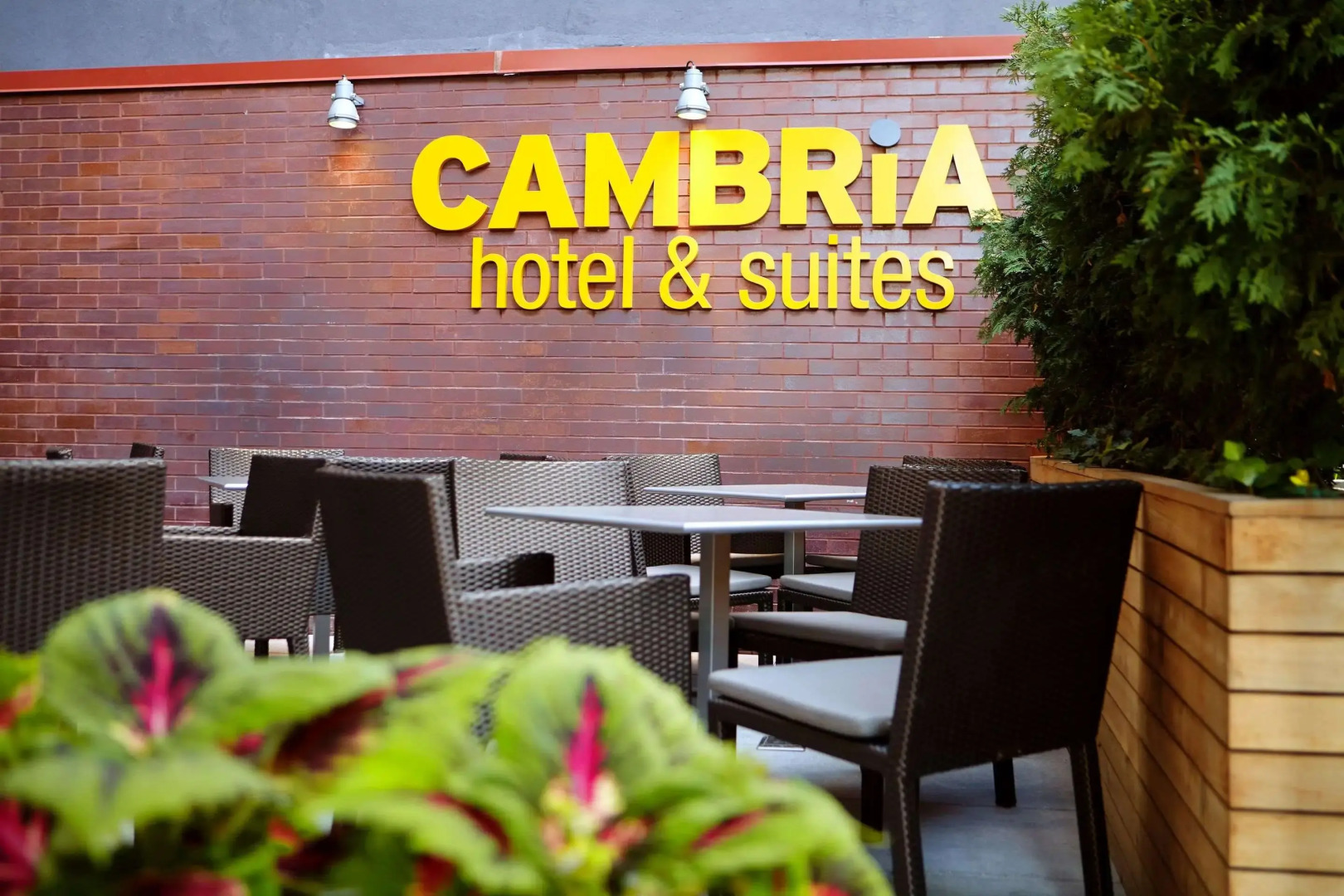 Foto - Cambria Hotel New York - Chelsea