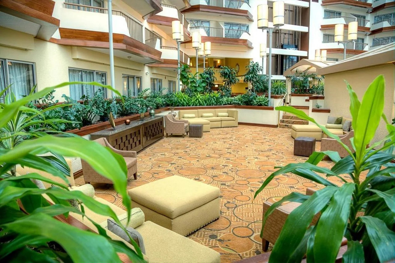 Foto - DoubleTree by Hilton Orlando Airport Hotel