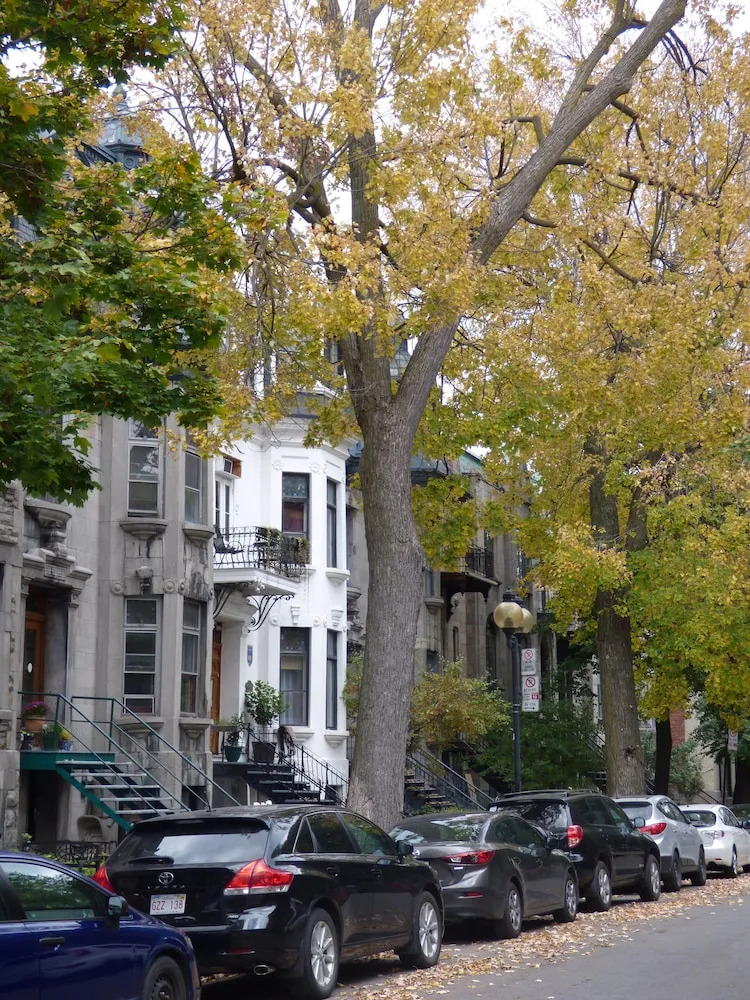 Photo - Gingerbread Manor