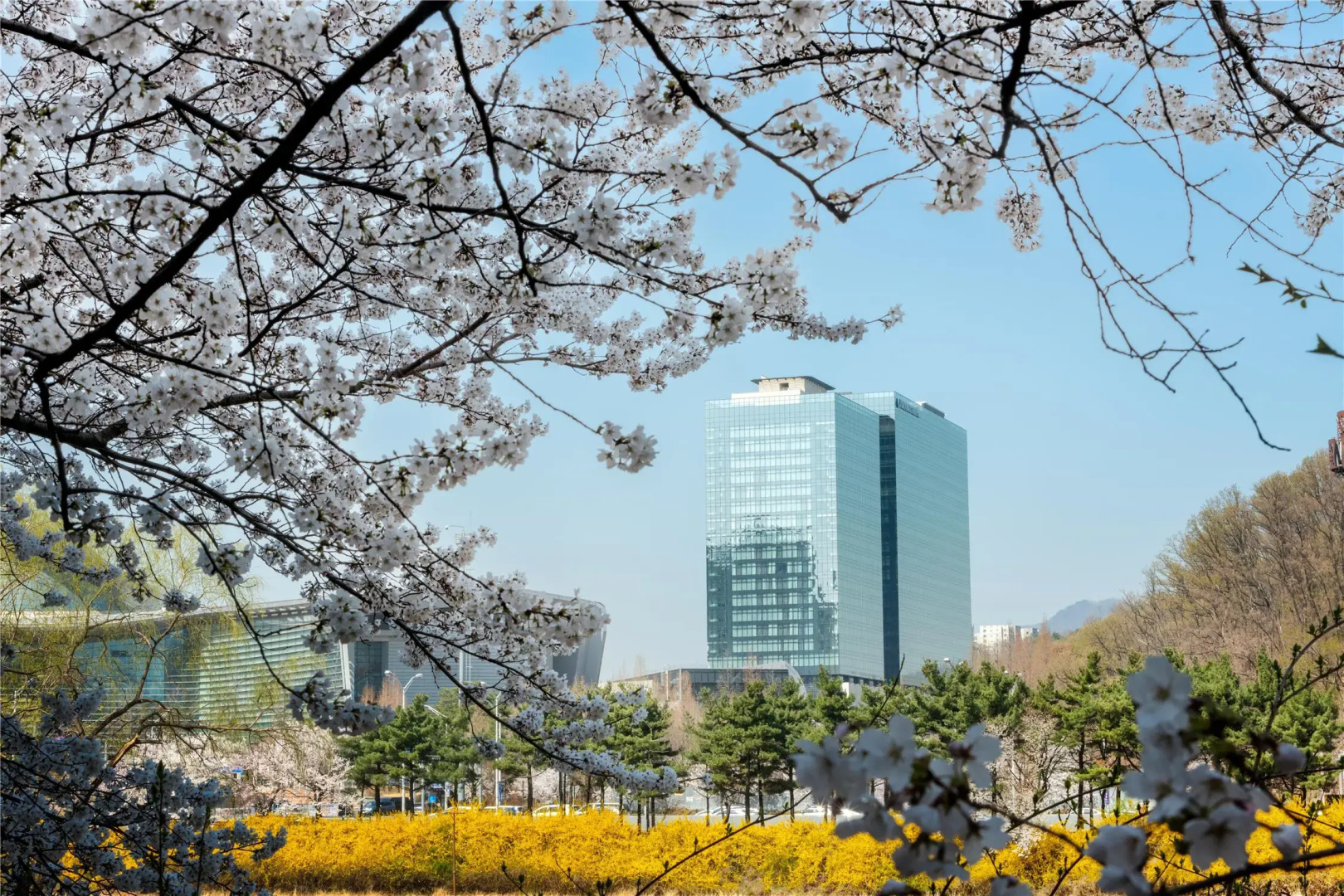 Photo - Doubletree By Hilton Seoul Pangyo Residences