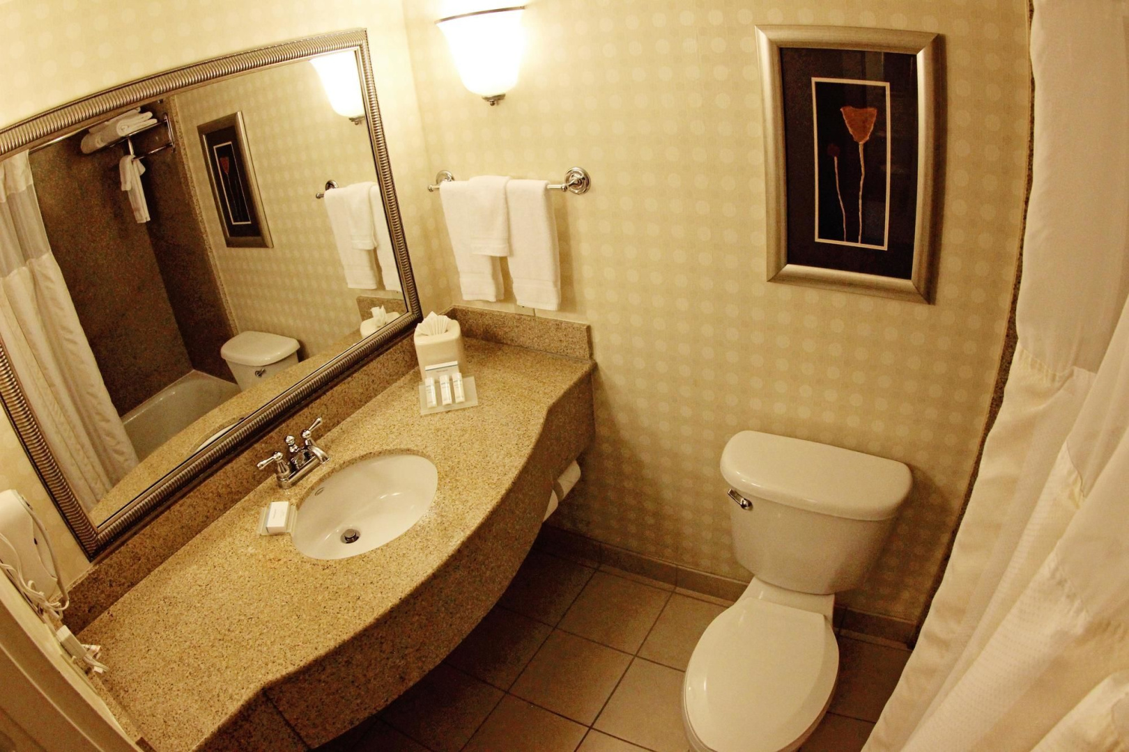 Foto - Hilton Garden Inn Jacksonville Orange Park