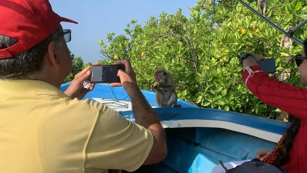 Foto - Rodrigo's Villa & Restaurant