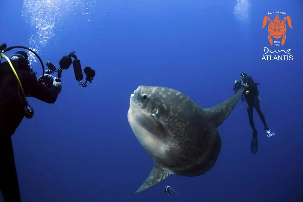 Foto - Sativa Sanur Cottages