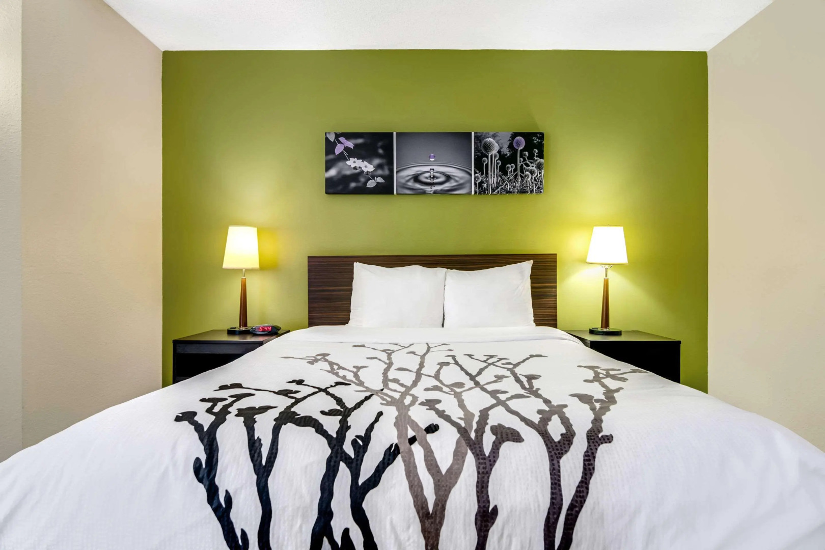 Foto - Sleep Inn near I-80 and I-94