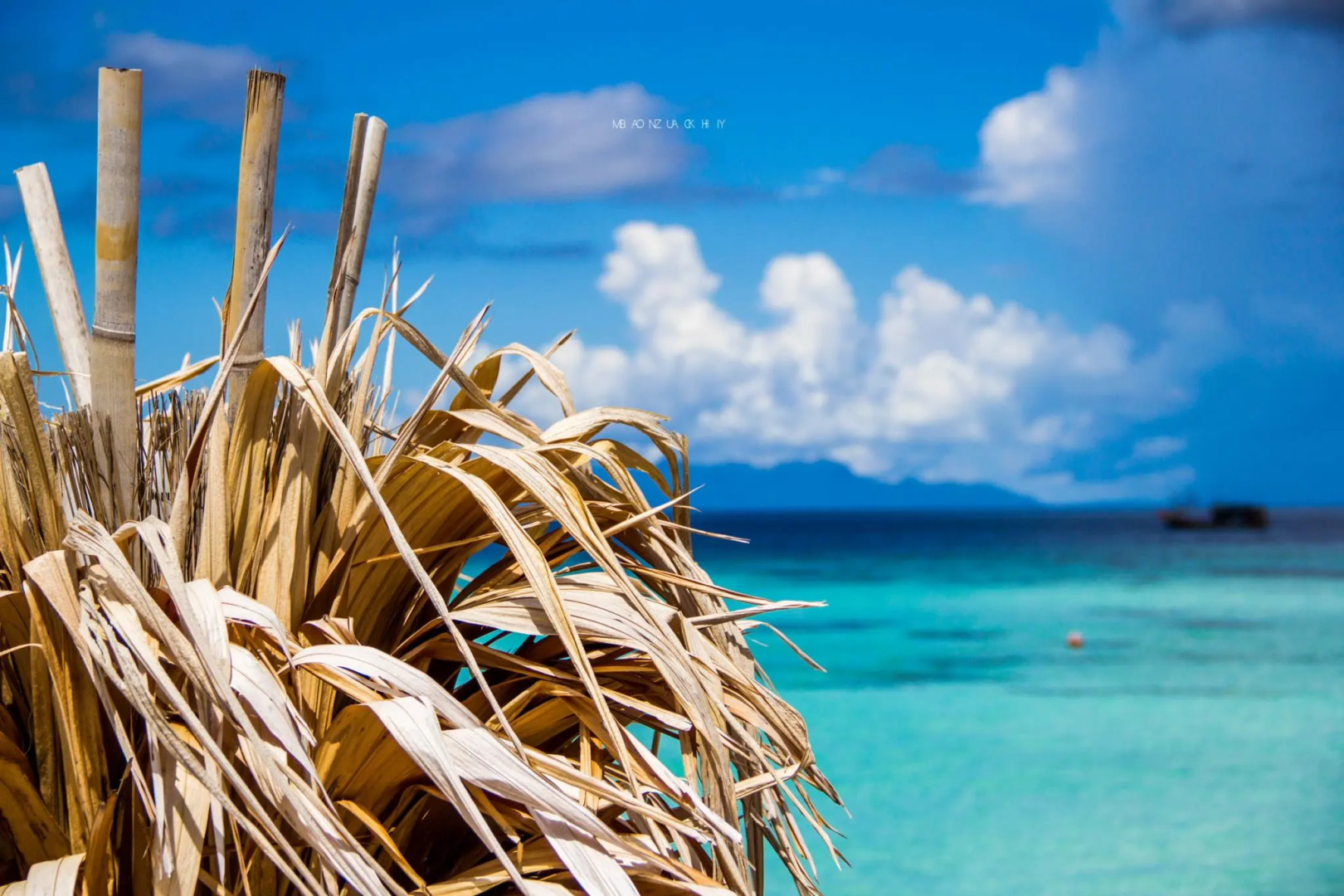 Photo - Salisa Resort