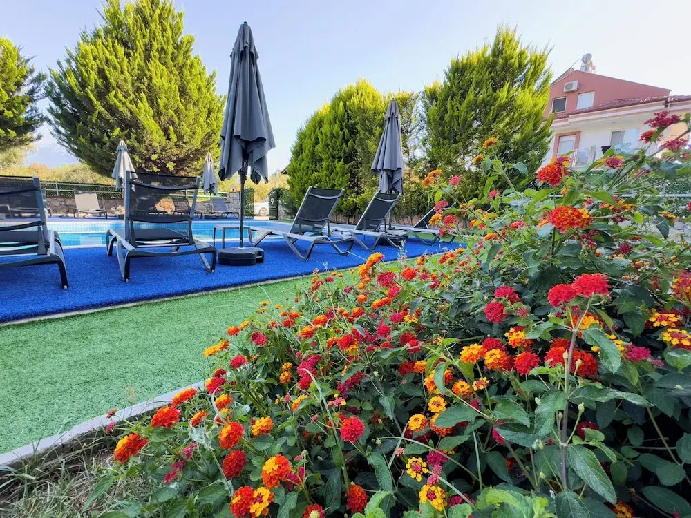 Foto - Sardunya Hotel