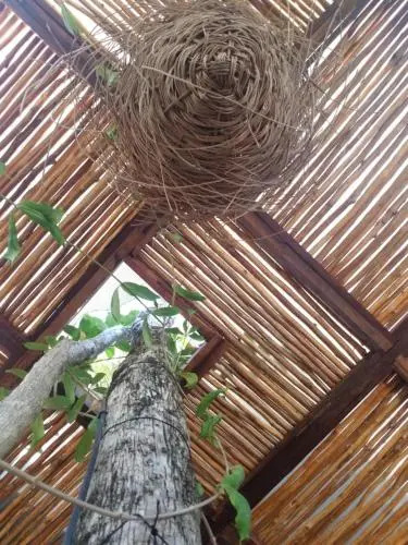 Foto - Trece Lunas Tulum - Enchanted Resort