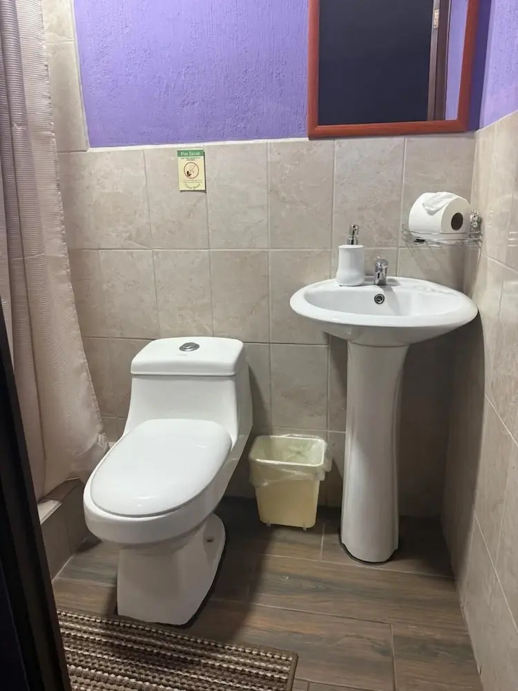 Photo - Hotel Quinta Vista Verde