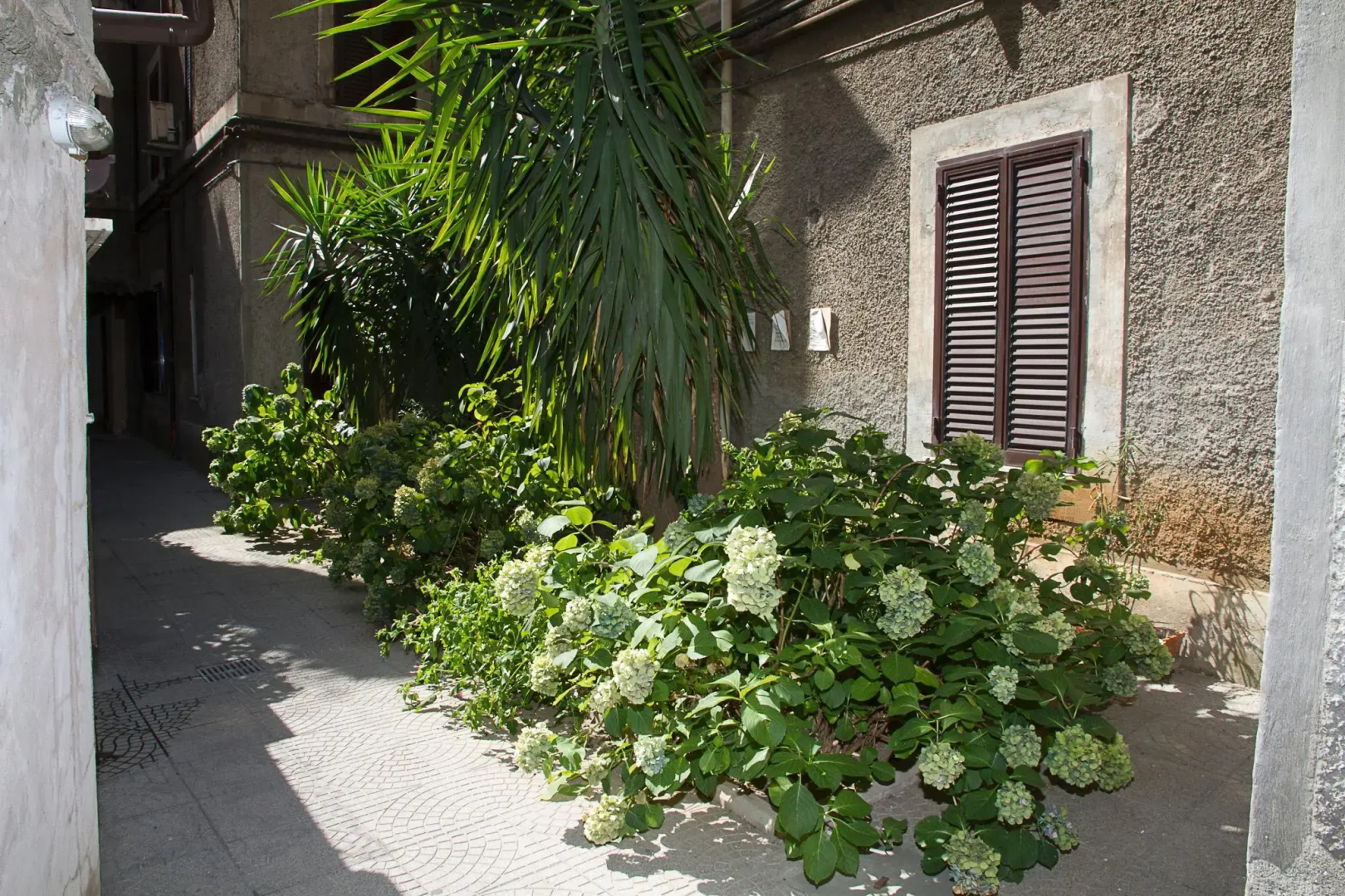 Foto - Hotel Giubileo