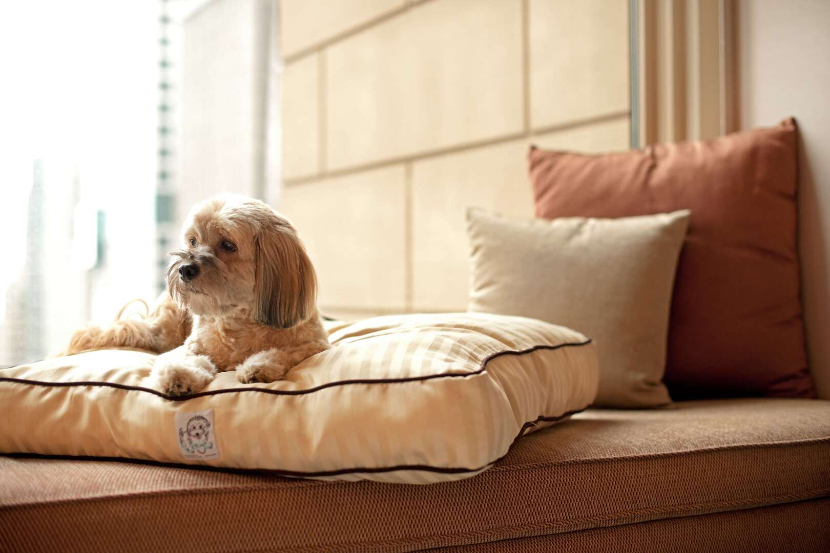 Foto - Grand Hyatt São Paulo