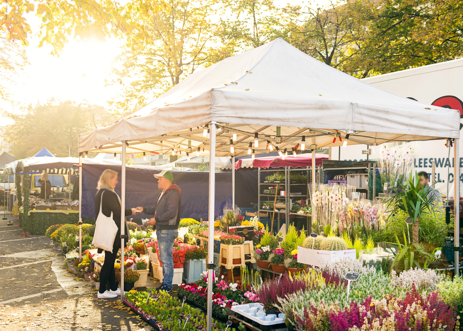 Photo - Hotel Le Châtelain