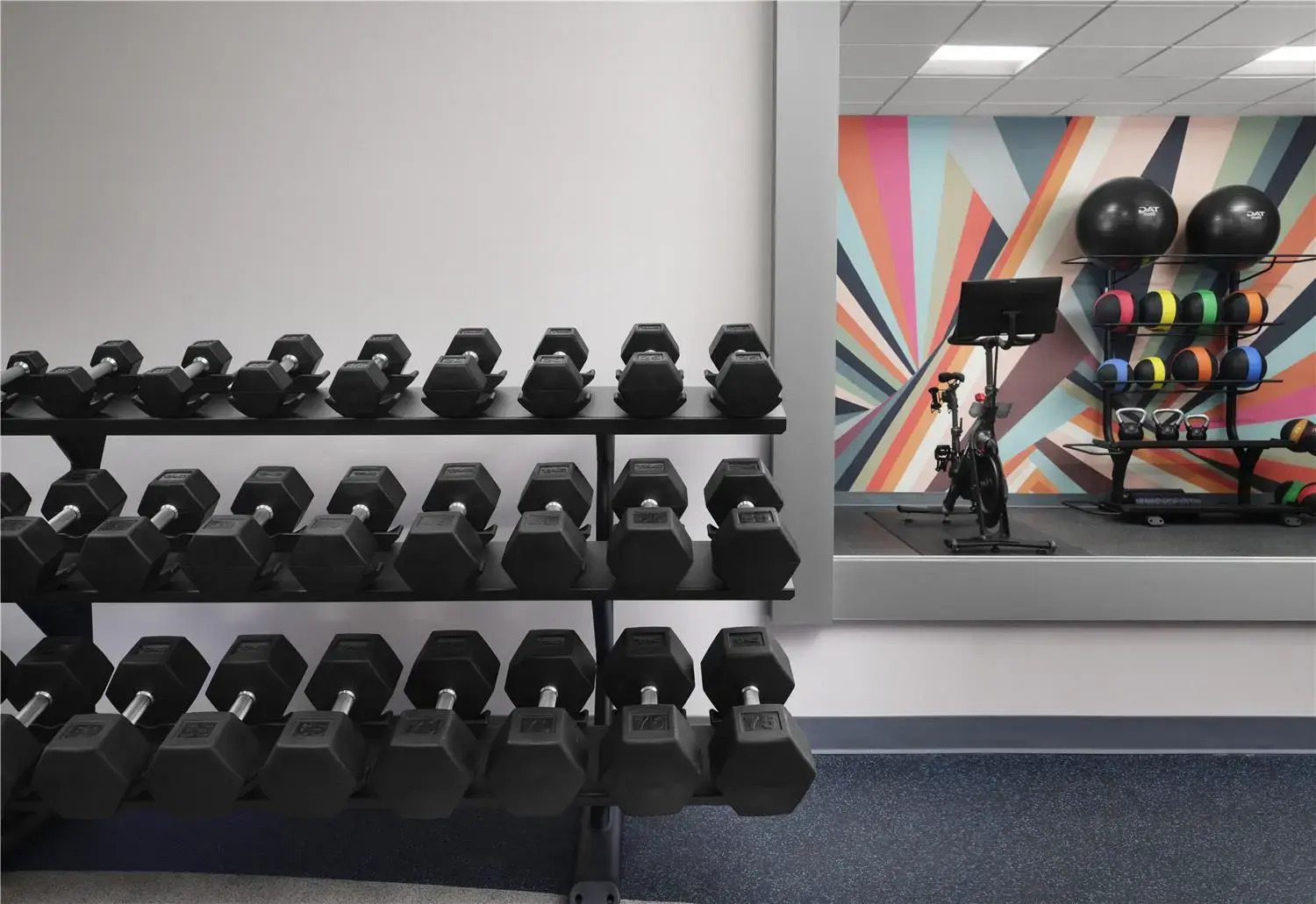 Photo - Hilton Garden Inn Tampa East Brandon