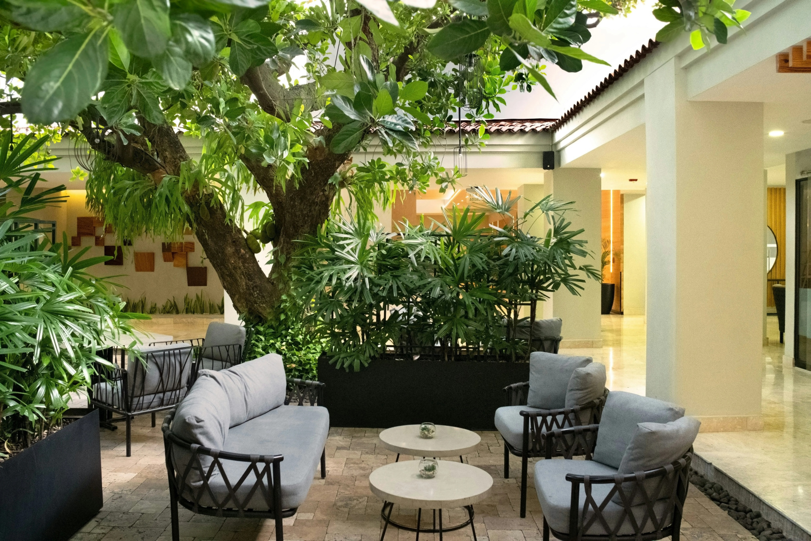 Foto - Hilton San Salvador