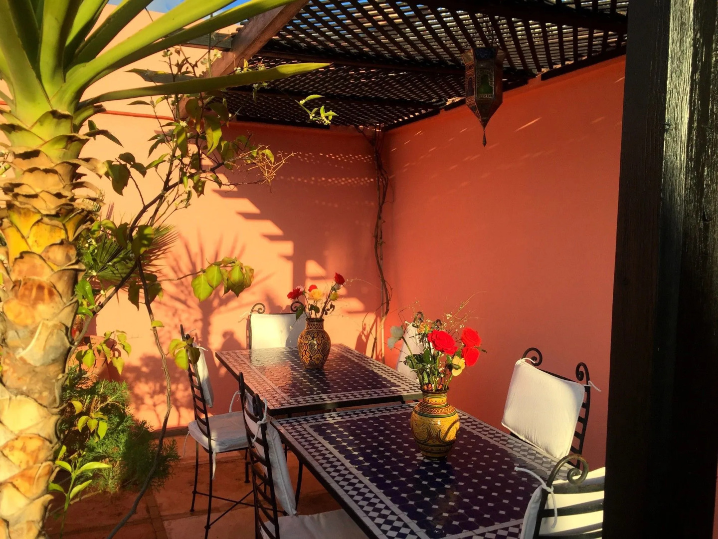 Photo - Riad Al Jana