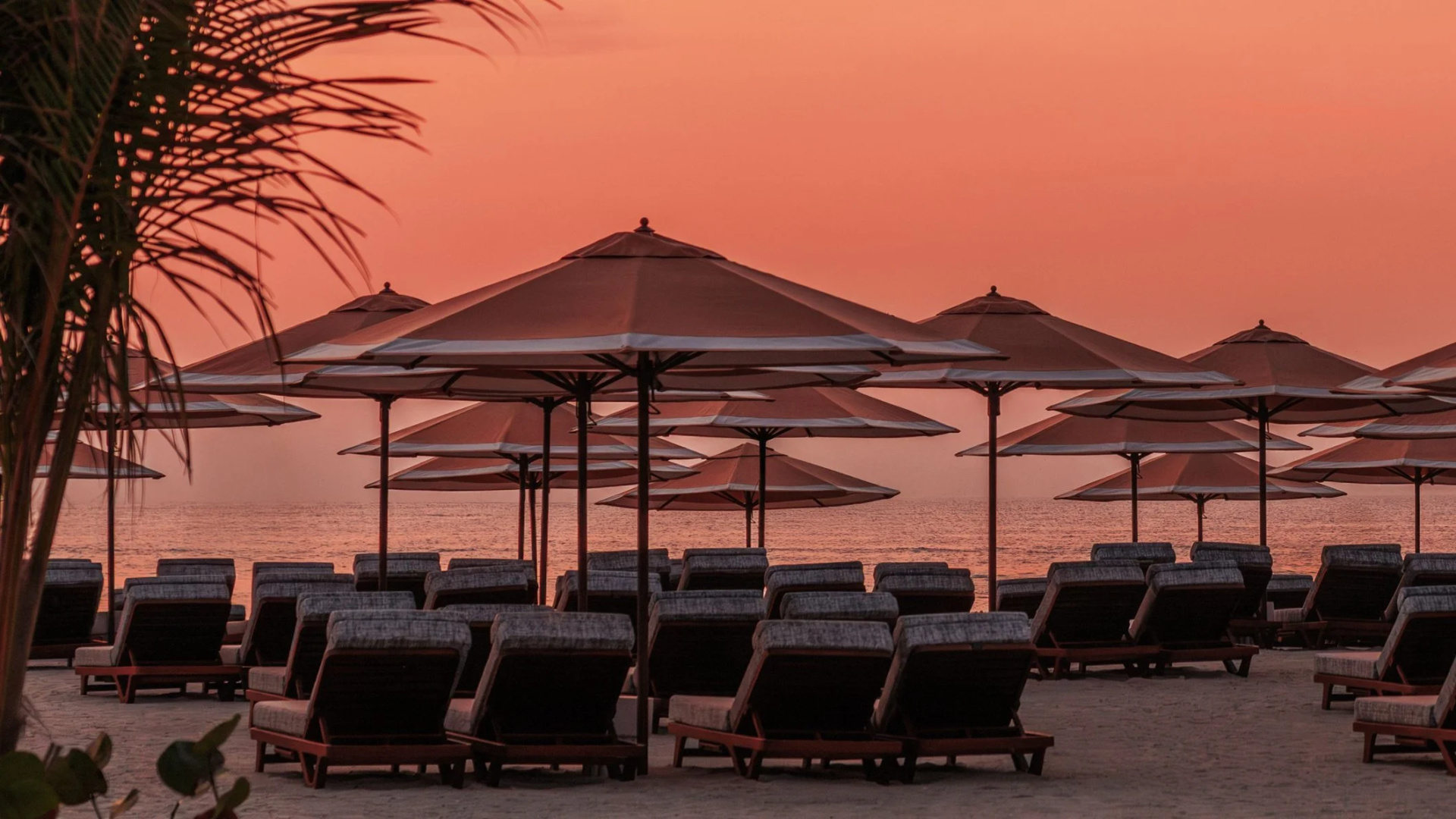 Foto - Jumeirah Marsa Al Arab Dubai