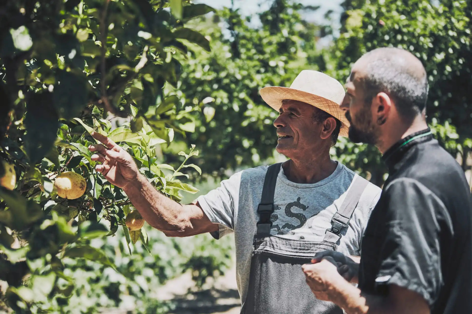 Foto - Yria Island Boutique Hotel & Spa