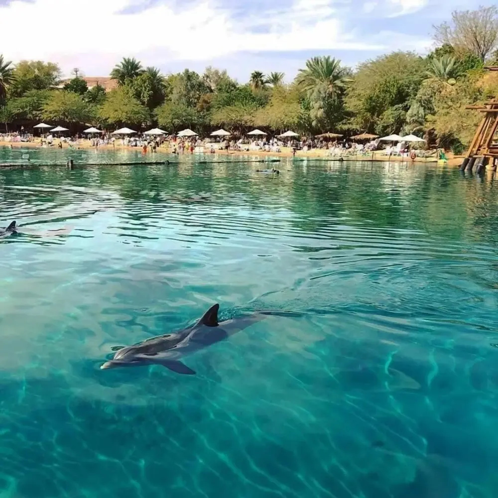Photo - Sahara Hotel Eilat