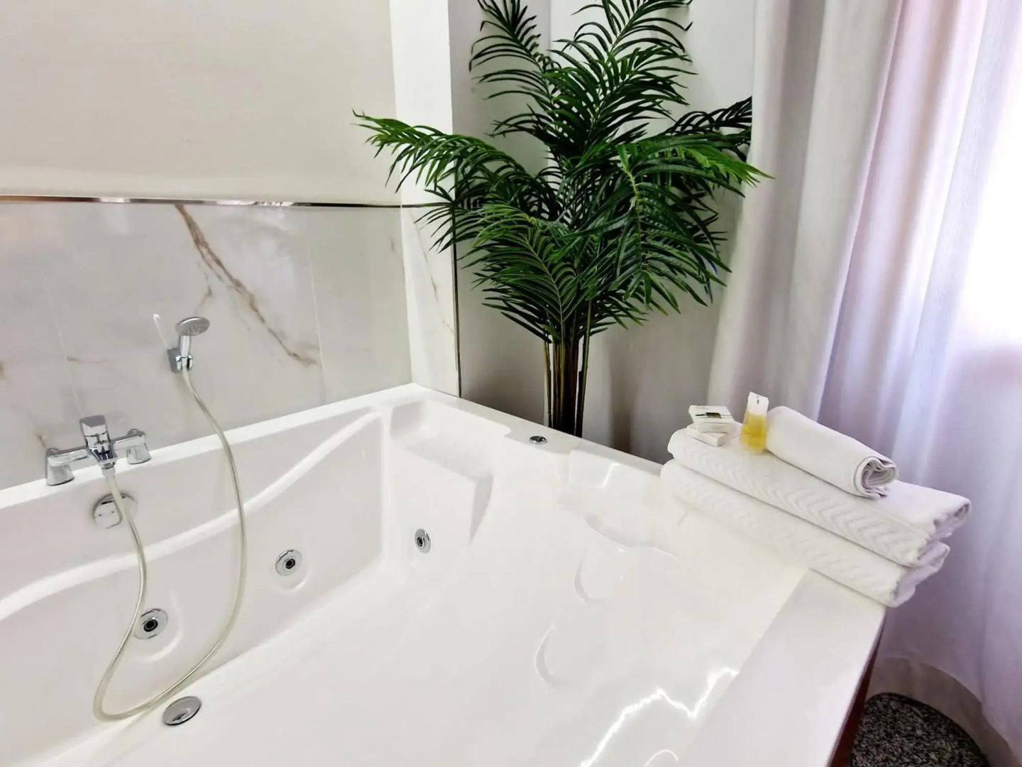 Foto - Hotel Plaza Del Castillo