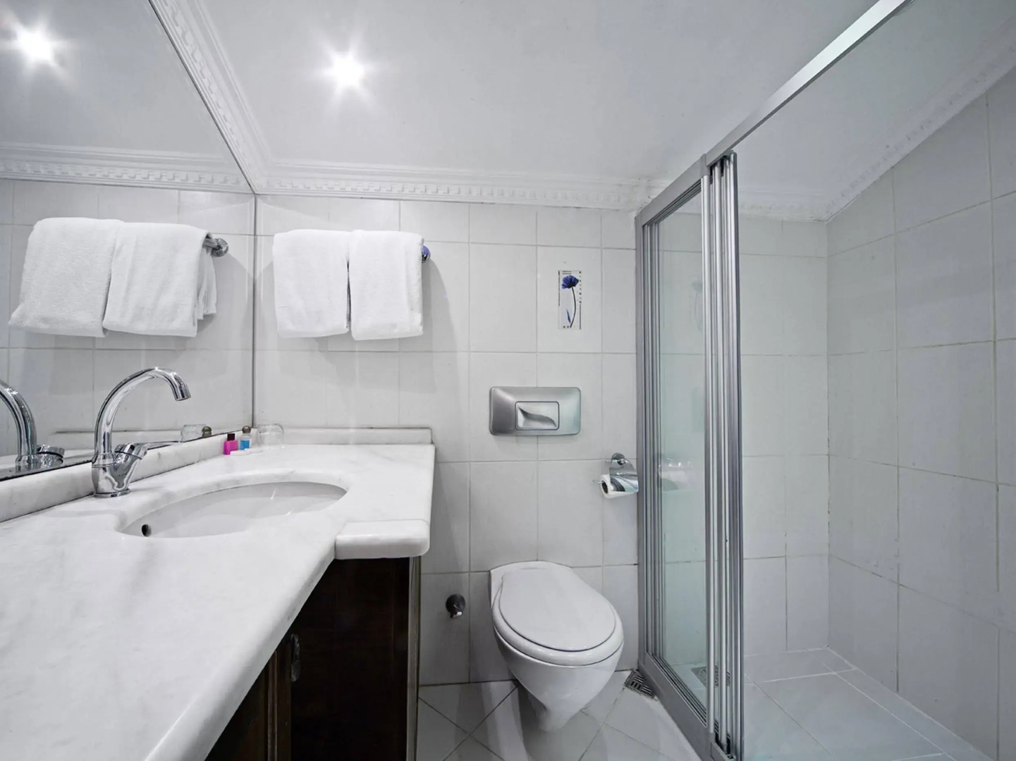 Foto - Elasophia Hotel