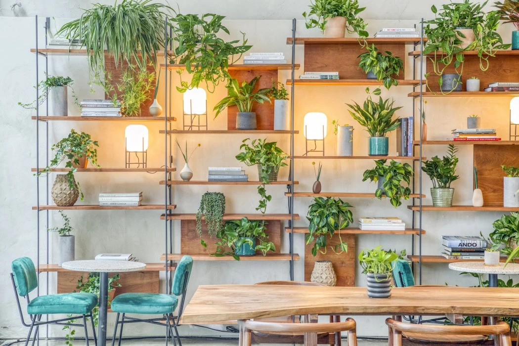 Photo - Hotel Alameda, Highline