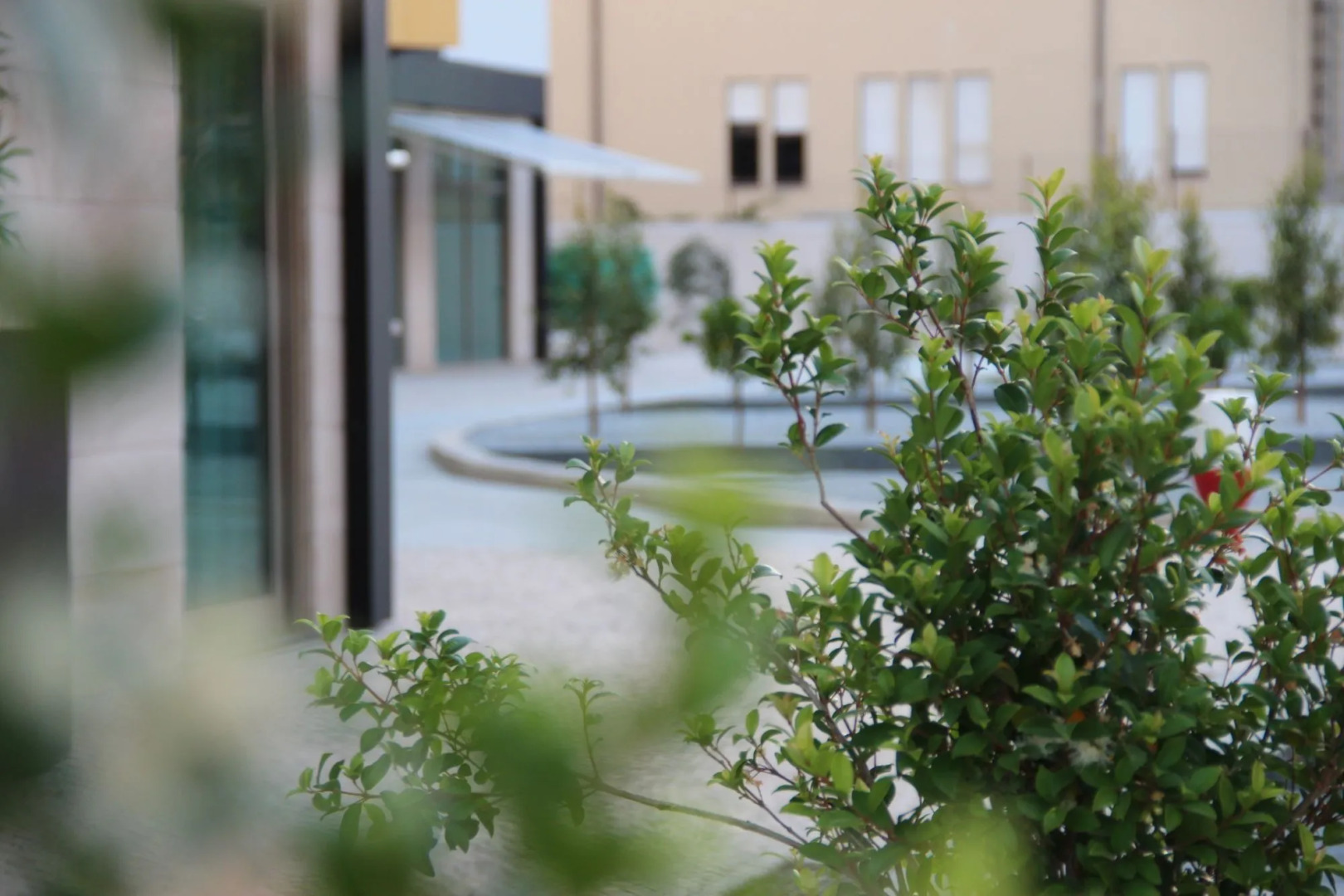 Foto - Aurea Fatima Hotel Congress & Spa