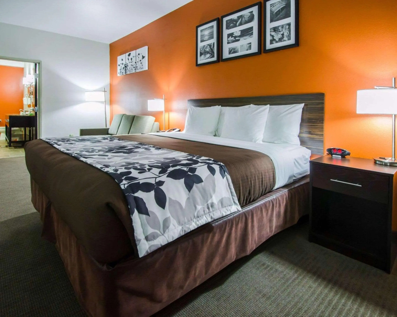 Foto - Sleep Inn & Suites And Conference Center Downtown