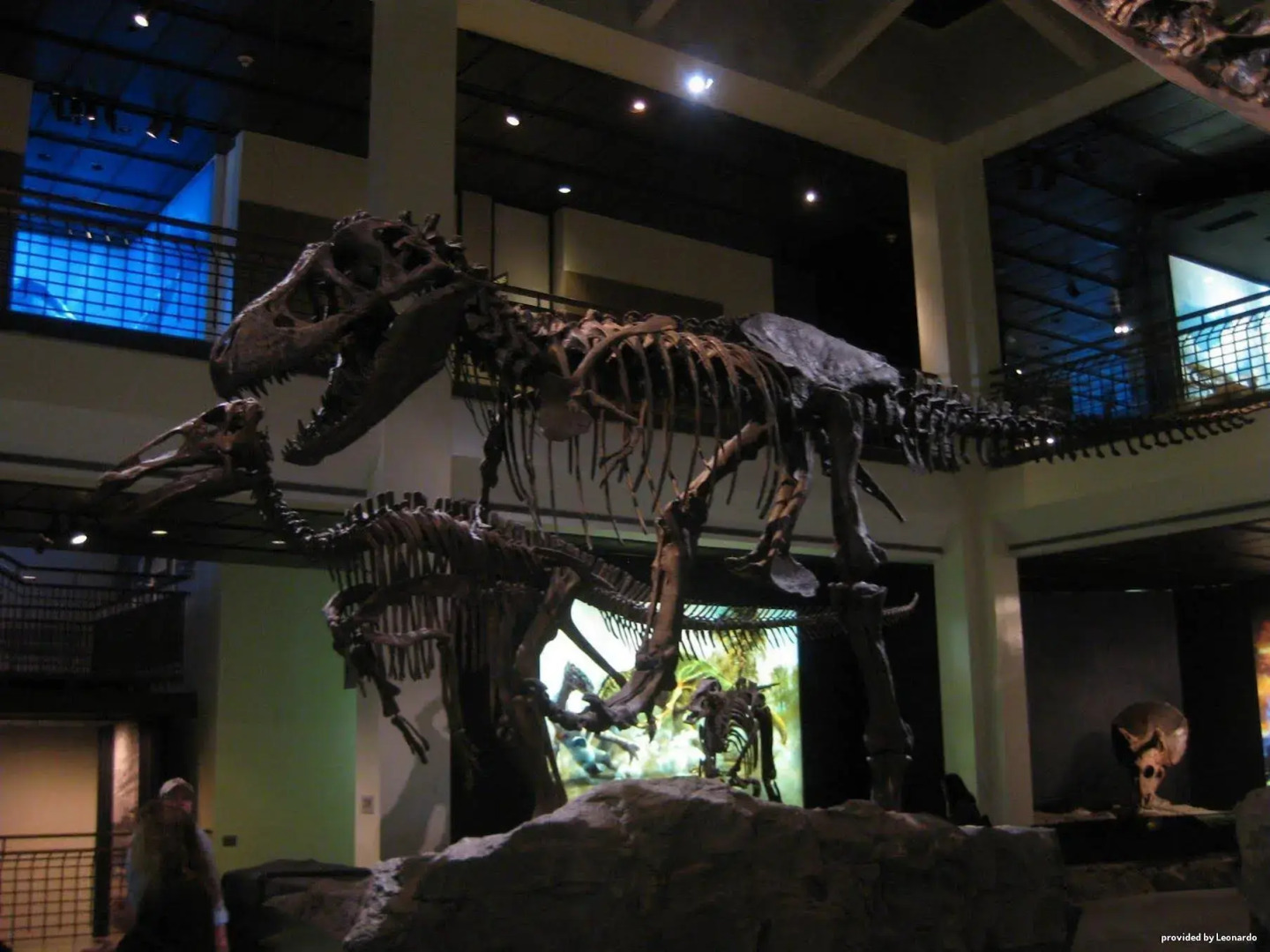 Foto - Quality Inn & Suites Houston Northwest - Cypress