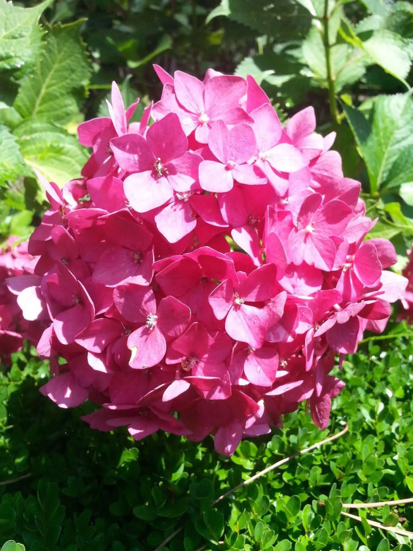 Foto - Villa Abbamer