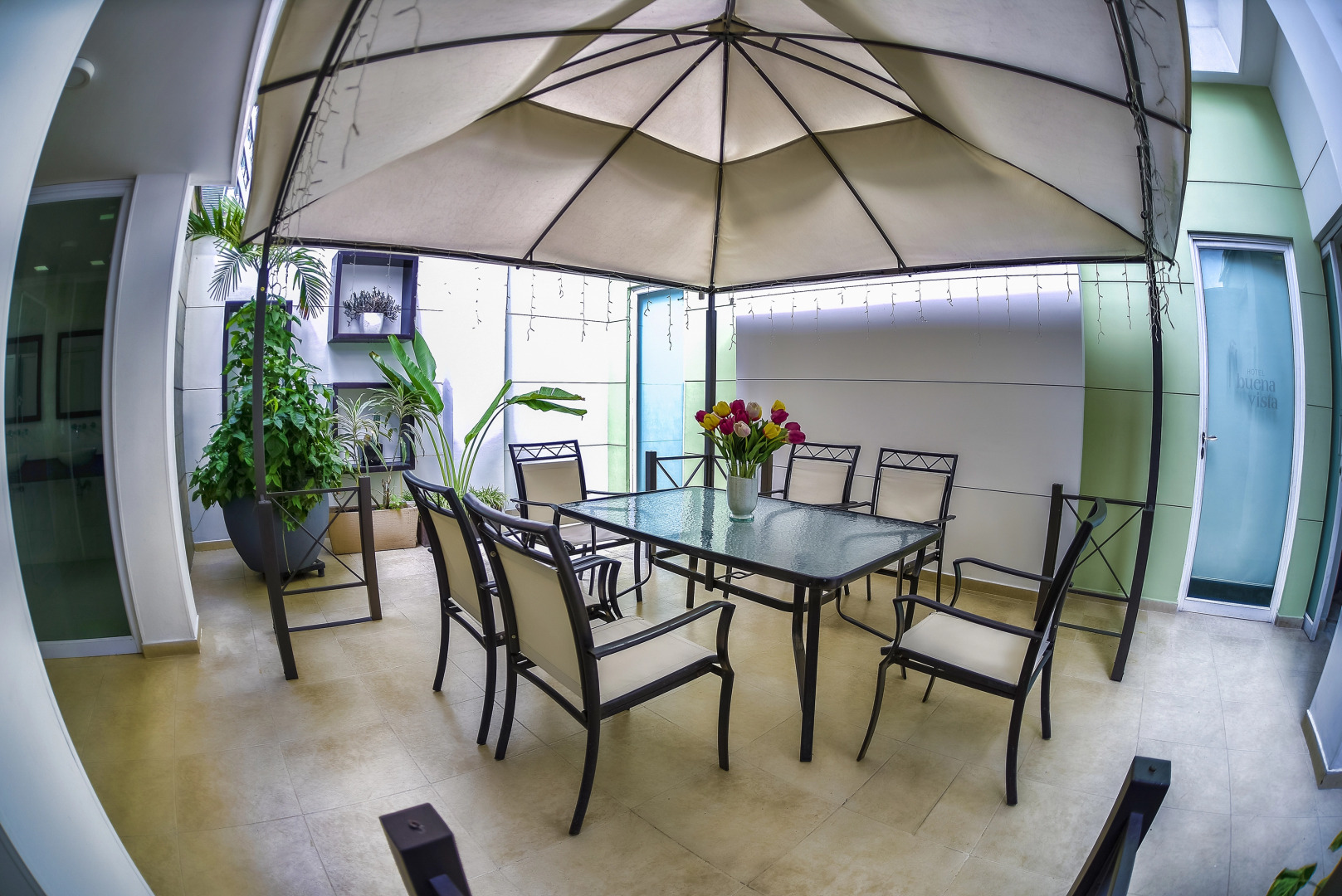 Foto - Hotel Buena Vista