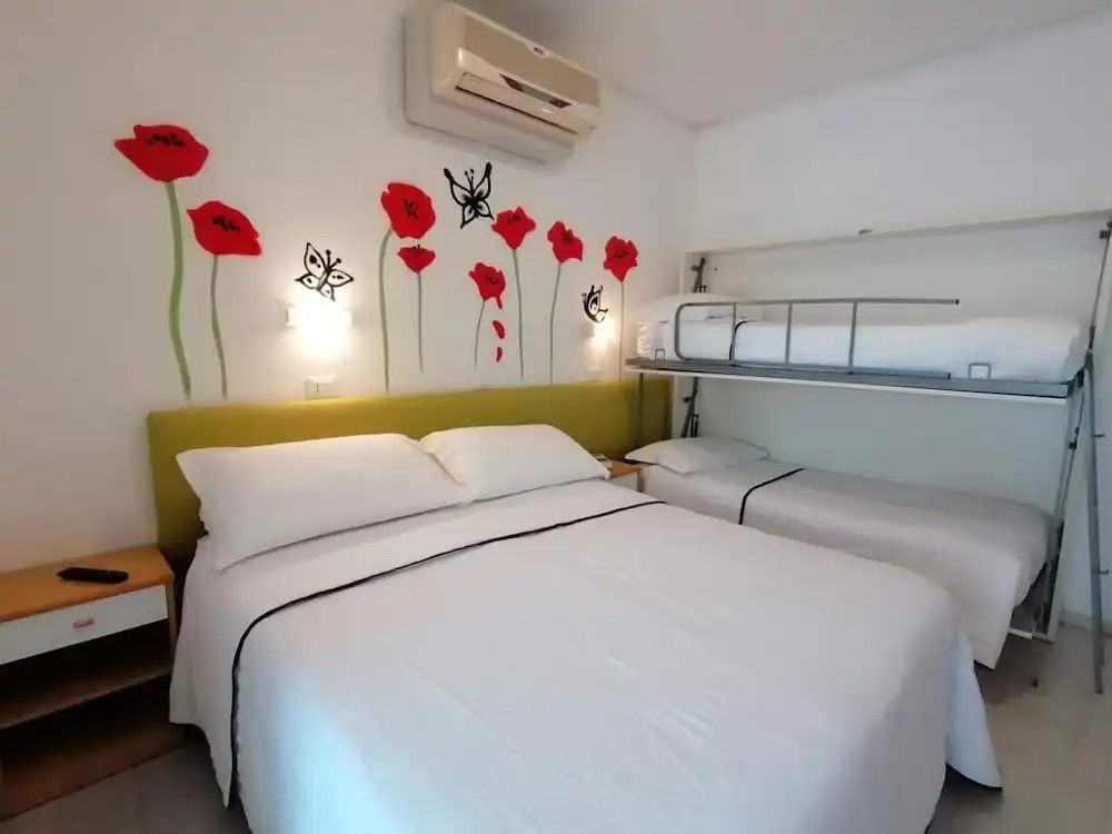 Foto - Kristalex Pet Friends Hotel
