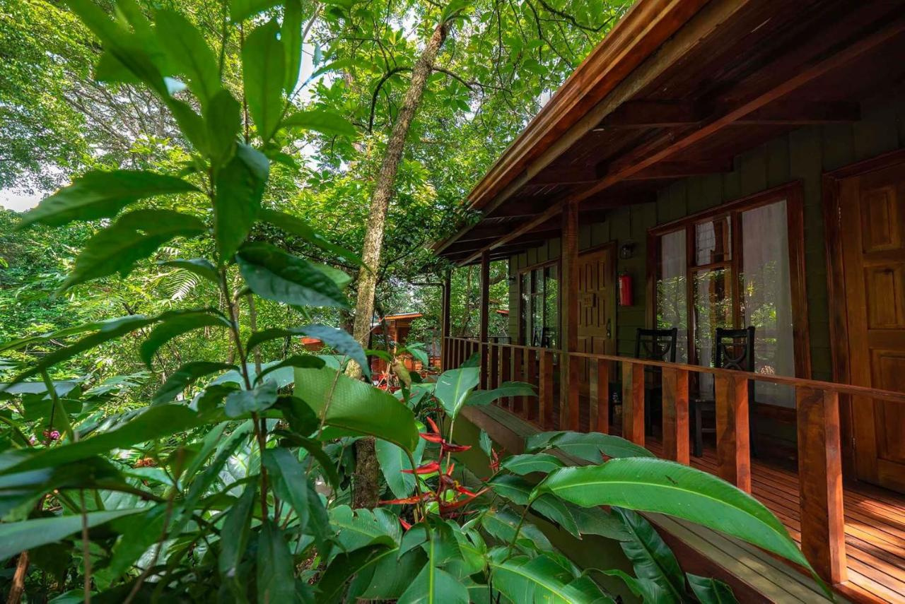 Foto - Jaguarundi Lodge
