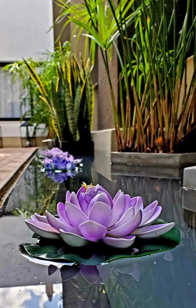 Photo - MG Design Hotel Boutique - Adults Only