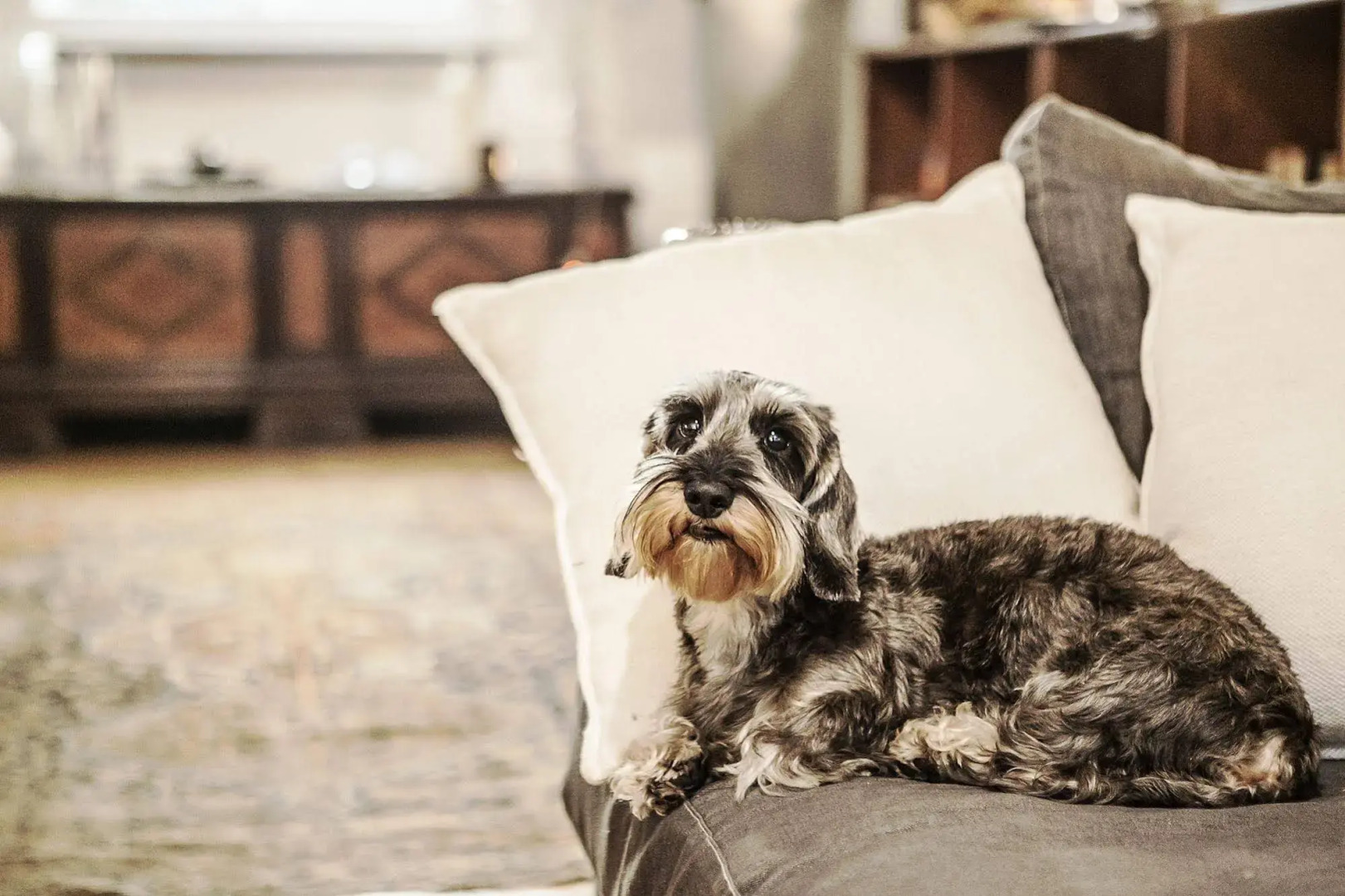 Foto - Città Studi Suites - Top Collection