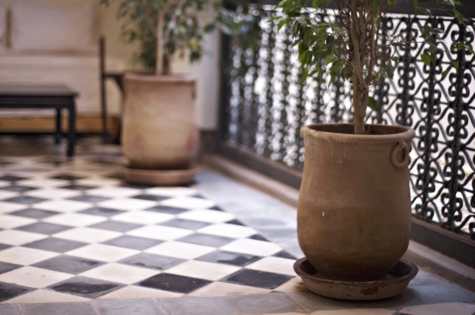 Foto - Riyad El Cadi