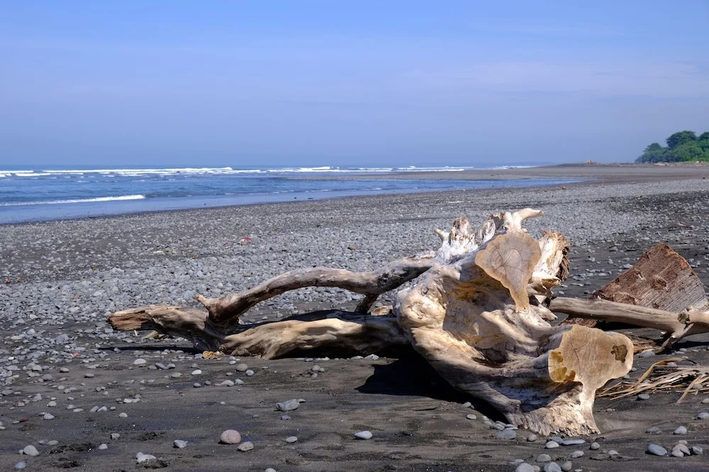 Photo - Wide Sands Beach Retreat